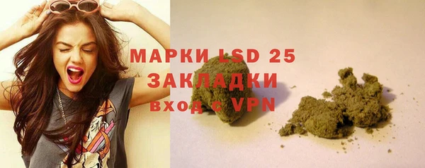 сатива Балабаново