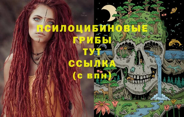 сатива Балабаново