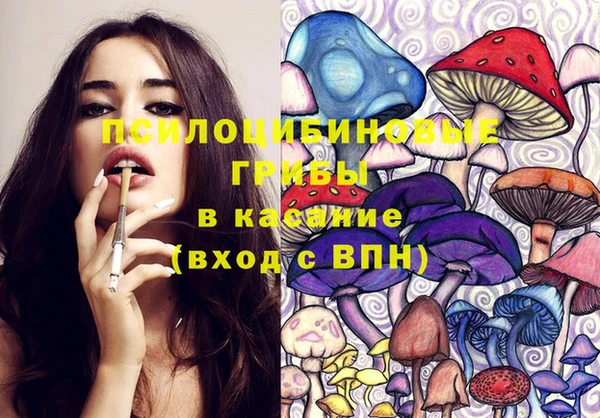 молекула духа Семилуки