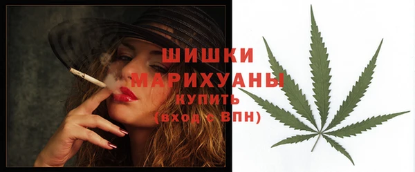 молекула духа Семилуки