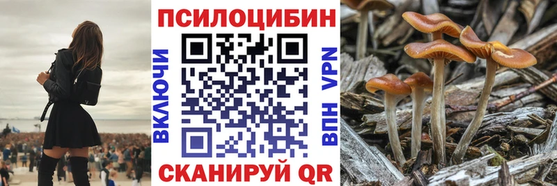 Галлюциногенные грибы Psilocybe  omg маркетплейс  Сенгилей 
