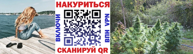 Каннабис семена как найти Сенгилей